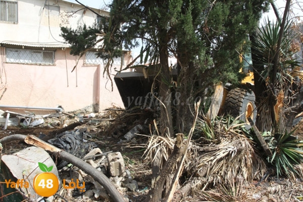 hadm galwash 0311 (25).JPG